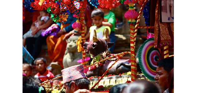 Gai Jatra